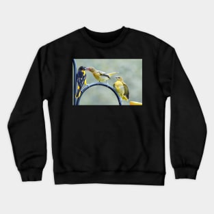 Hungry fledglings Crewneck Sweatshirt